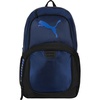 Blue Jewel/Royal Sapphire