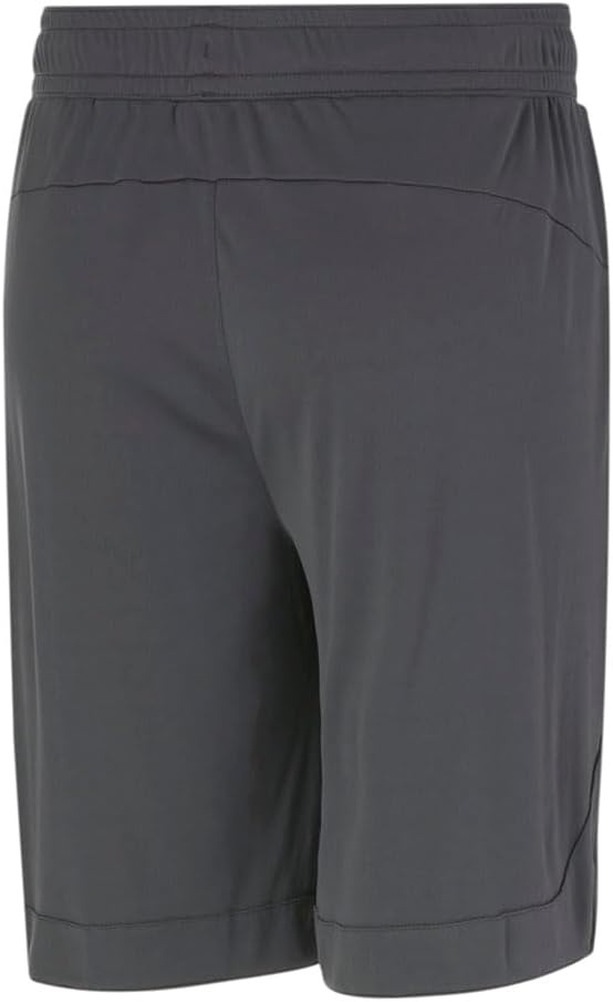 image:imagePuma Mens Rtg Shiny Fabric 10 Shorts Available in Big amp TallAsphalt
