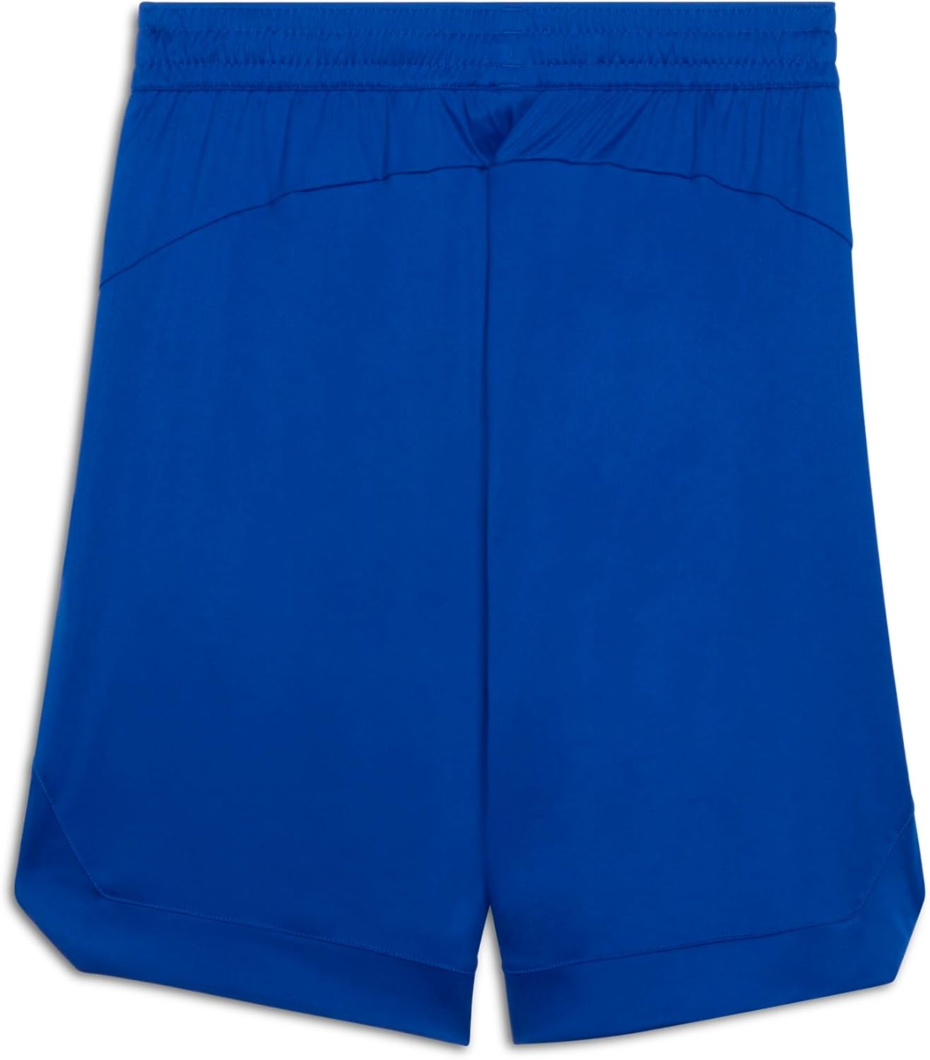 image:imagePuma Mens Rtg Shiny Fabric 10 Shorts Available in Big amp TallVivid Blue Ss25