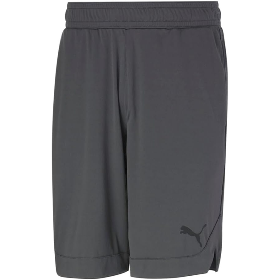 image:imagePuma Mens Rtg Shiny Fabric 10 Shorts Available in Big amp TallAsphalt