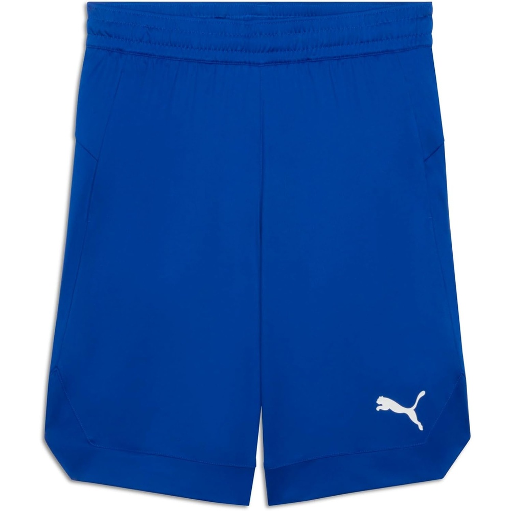 image:imagePuma Mens Rtg Shiny Fabric 10 Shorts Available in Big amp TallVivid Blue Ss25