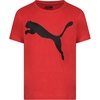 High Risk Red Heather