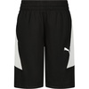 Puma Black