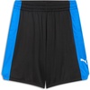 Racing Blue-puma Black
