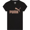 Black Puma Cat