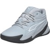 Platinum Gray-dusky Gray-white