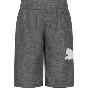 PUMA Kids Boys’ Core Essential Athletic Shorts(Charcoal Heather)