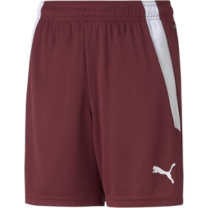 Puma Kids’ Teamliga Shorts(Cordovan-puma White)