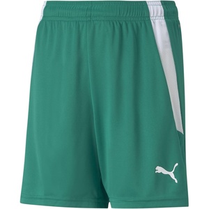 Puma Kids’ Teamliga Shorts(Pepper Green-puma White)