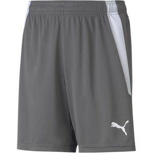 Puma Kids’ Teamliga Shorts(Smoked Pearl-puma White)