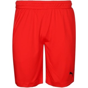 Puma Mens Rtg Shiny Fabric 10″ Shorts (Available in Big & Tall)(Red)