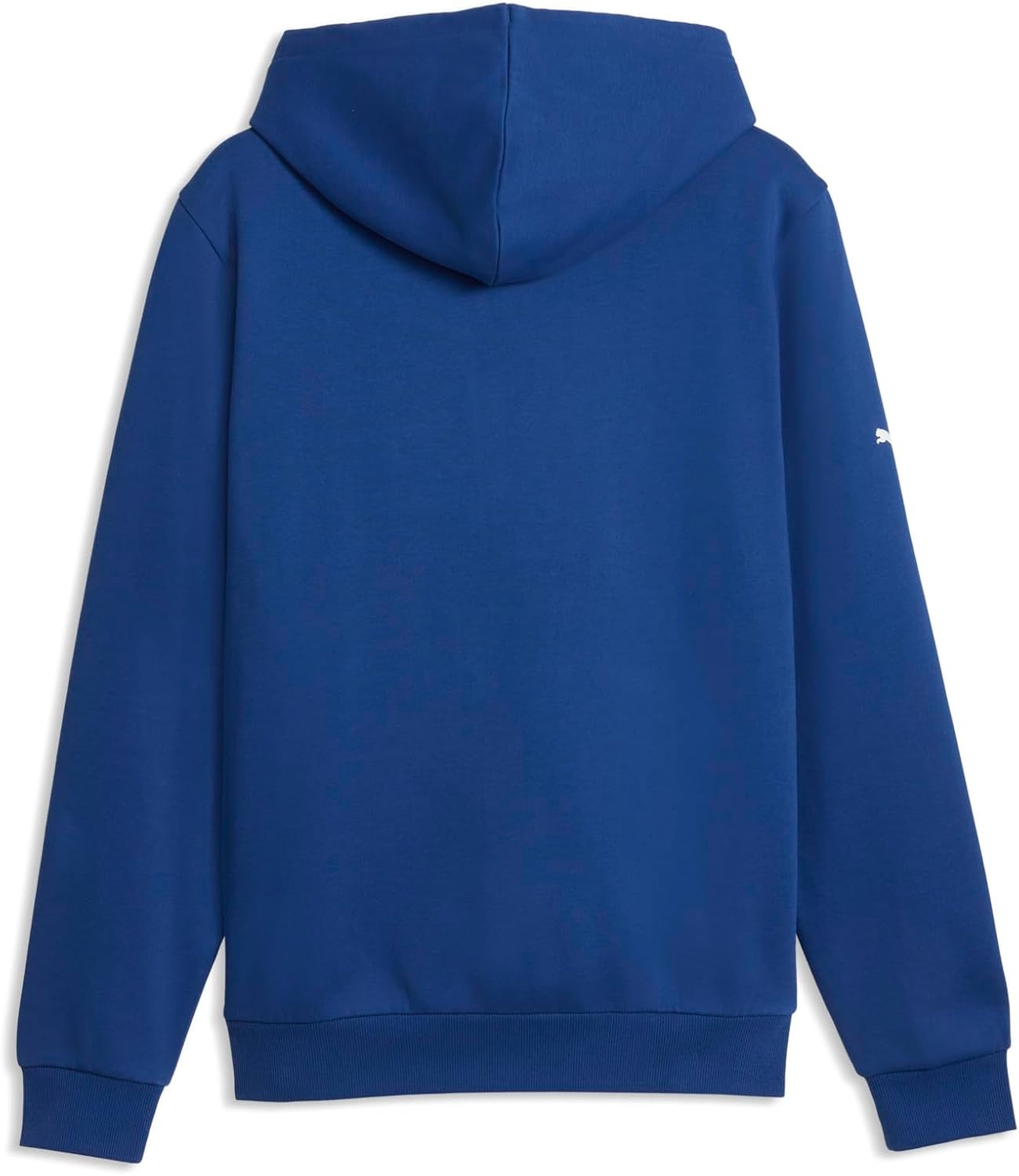image:imagePUMA mens Bmw M Motorsport Essentials Fleece HoodiePro Bluem Color