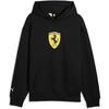 Puma Black