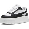 Puma White-puma Black-puma Silver