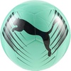 Mint Jelly-Puma Black