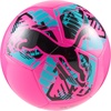Poison Pink-Puma Black-Bright Aqua