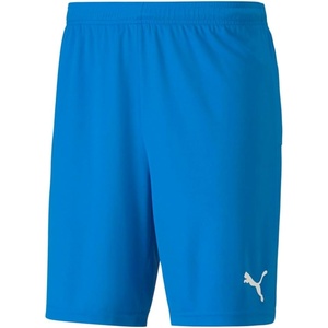 Puma Mens Teamgoal Knit Shorts(Blue)