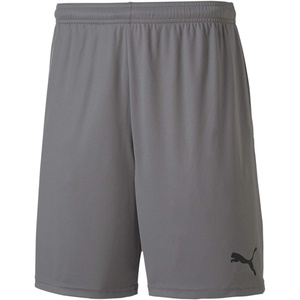 Puma Mens Teamgoal Knit Shorts(Grey)