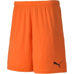 Puma Mens Teamgoal Knit Shorts(Orange)