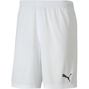 Puma Mens Teamgoal Knit Shorts(Puma White)