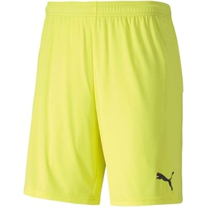 Puma Mens Teamgoal Knit Shorts(Yellow)