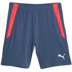 Puma Mens Teamliga Shorts(Inky Blue-fire Orchid)