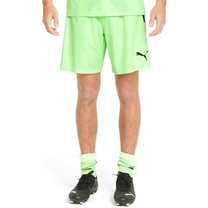 Puma Mens Teamliga Shorts(No Color)