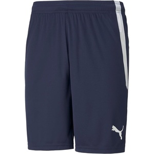 Puma Mens Teamliga Shorts(Peacoat-puma White)