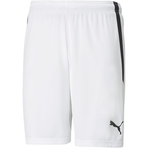 Puma Mens Teamliga Shorts(Puma White-puma Blac)