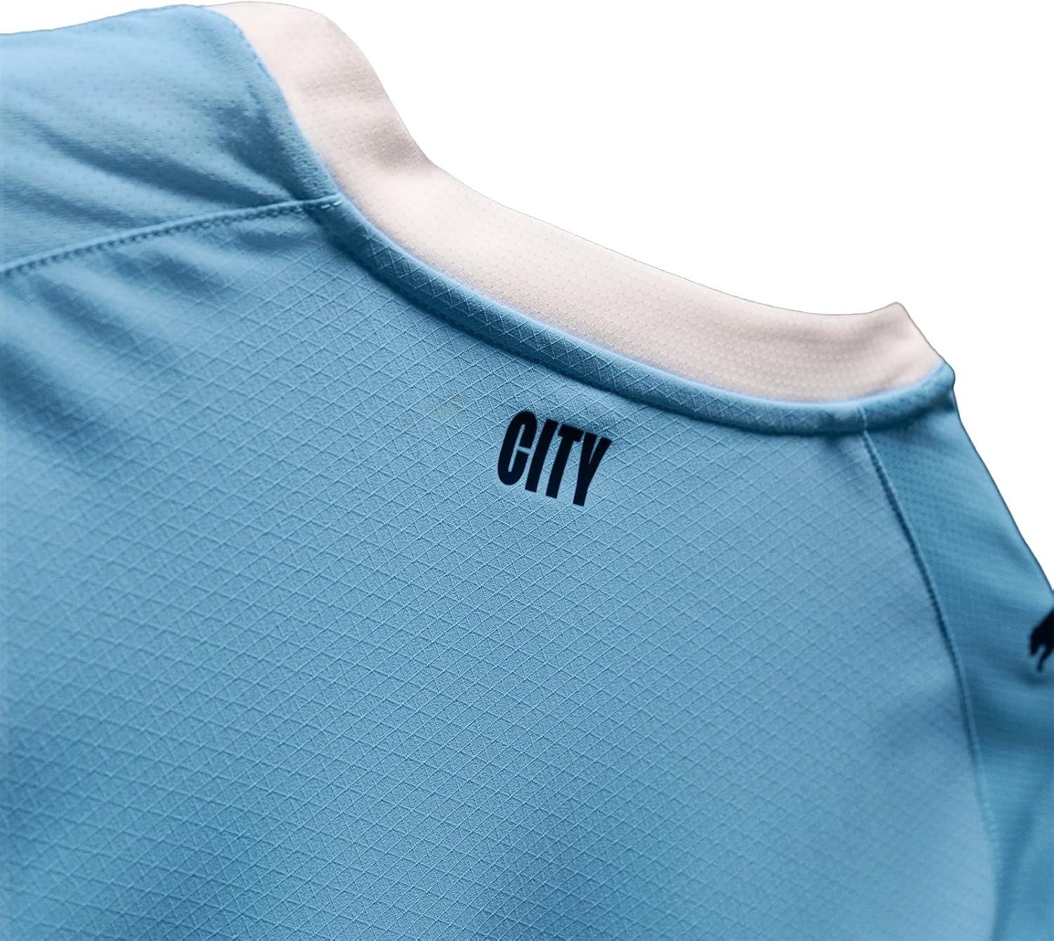 image:imageManchester City FC Mens 202526 Authentic Home Soccer Jersey Slim Fit