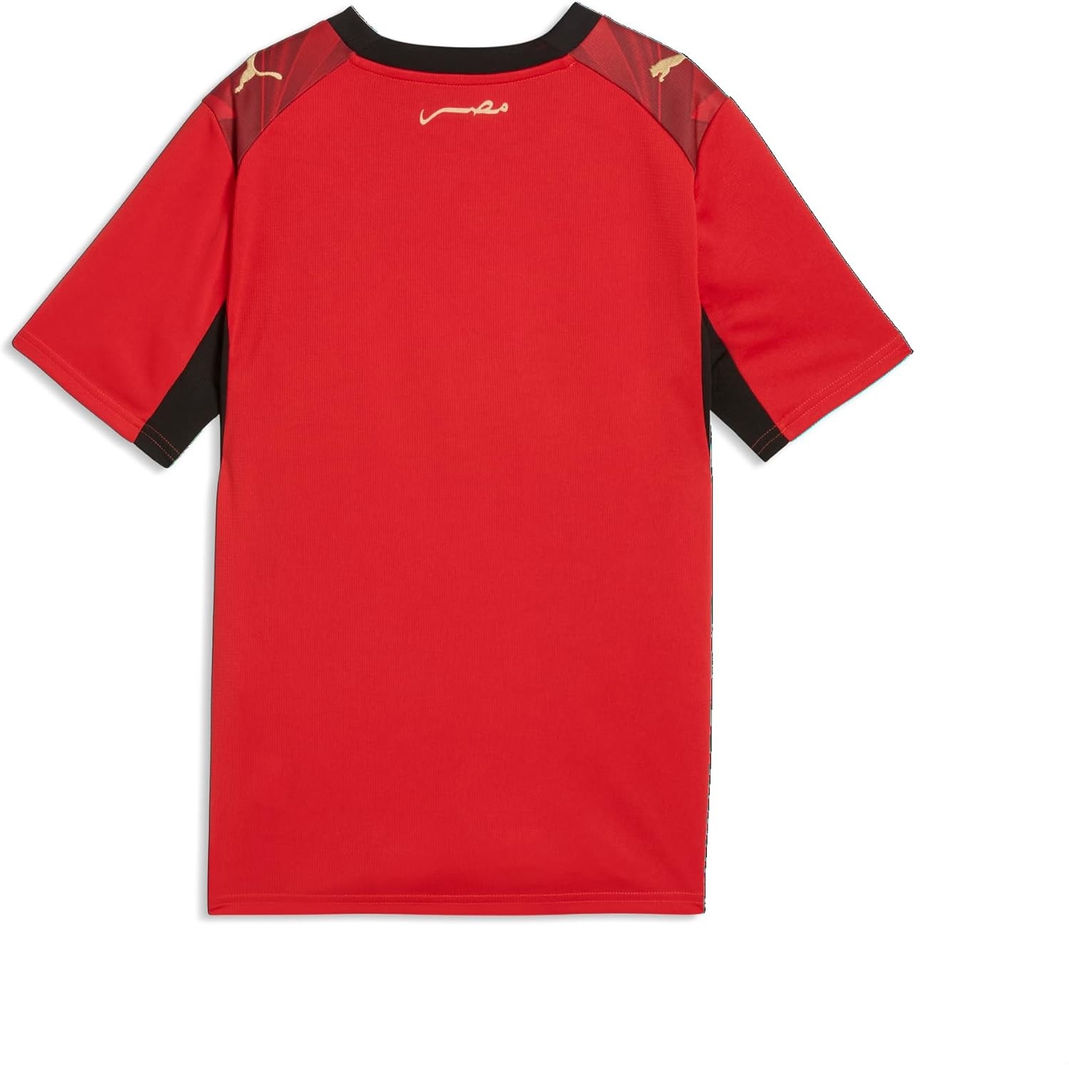 image:imagePUMA Junior Egypt FA Home Jersey ReplicaPuma Redintense Red