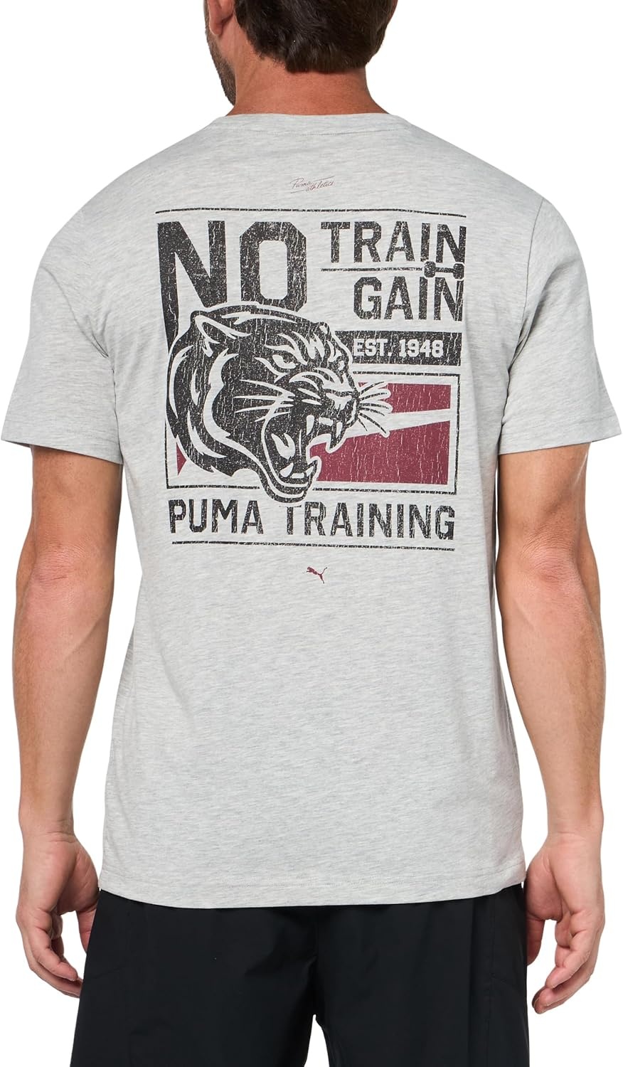 image:imagePUMA Mens Village Wear Graphic Crew Neck Short Sleeve Casual Tops CasualLight Gray Heather Illustrated Ah25