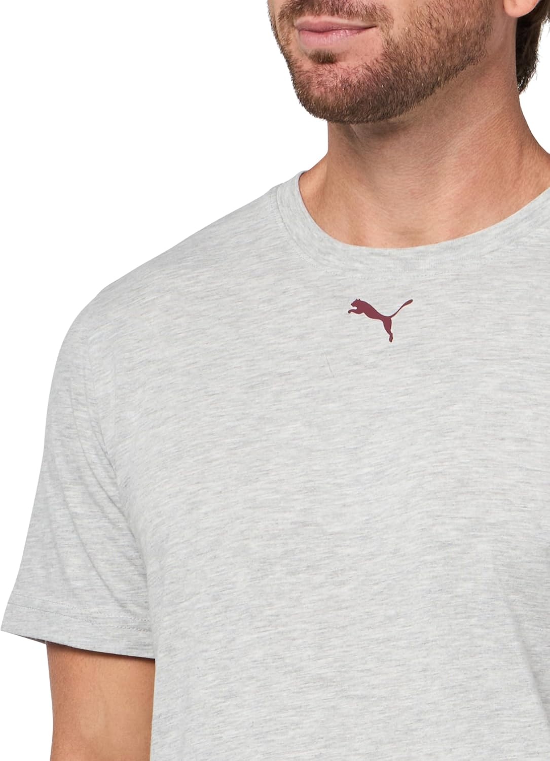 image:imagePUMA Mens Village Wear Graphic Crew Neck Short Sleeve Casual Tops CasualLight Gray Heather Illustrated Ah25