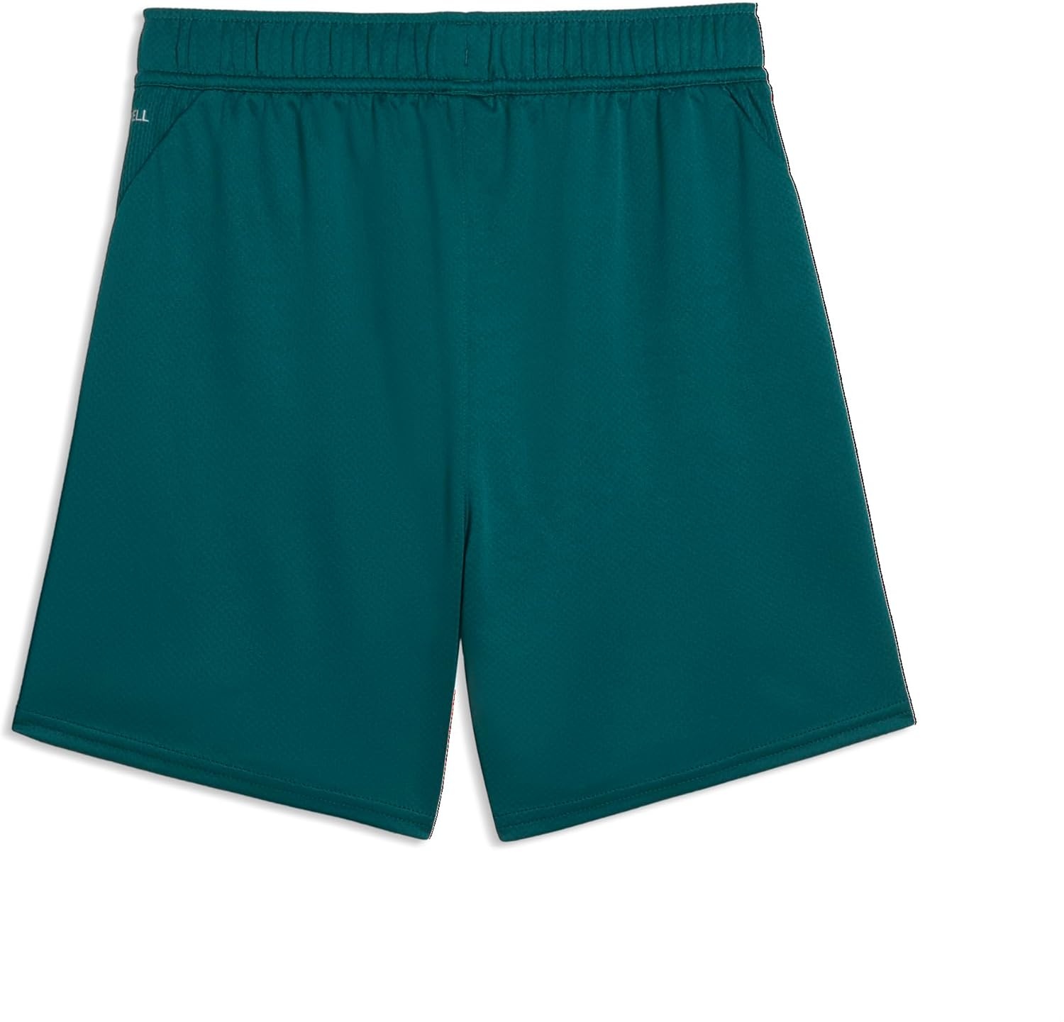 image:imagePuma Boys Fanpack Training ShortsVarsity Green