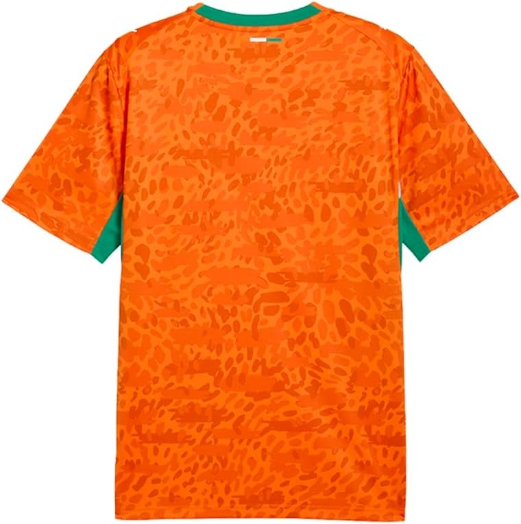 image:imagePuma Mens Kenya Ivory Coast Home Jersey ReplicaRickie Orangesport Green