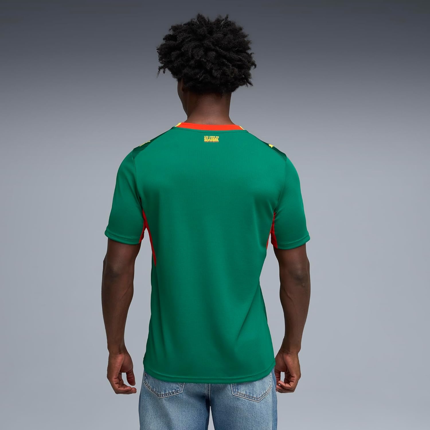 image:imagePuma Mens Senegal FA Away Jersey ReplicaWild Greenpuma Red