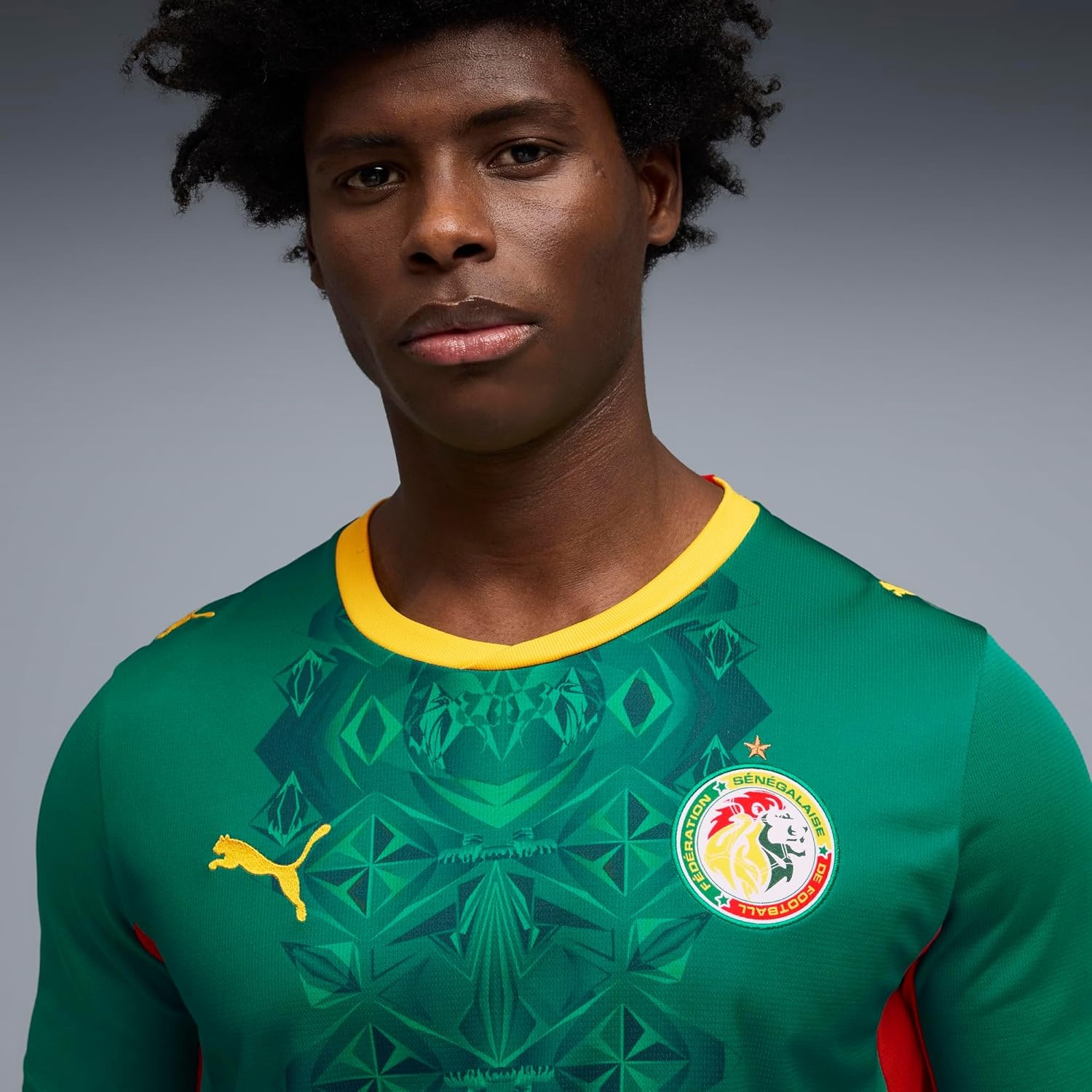 image:imagePuma Mens Senegal FA Away Jersey ReplicaWild Greenpuma Red