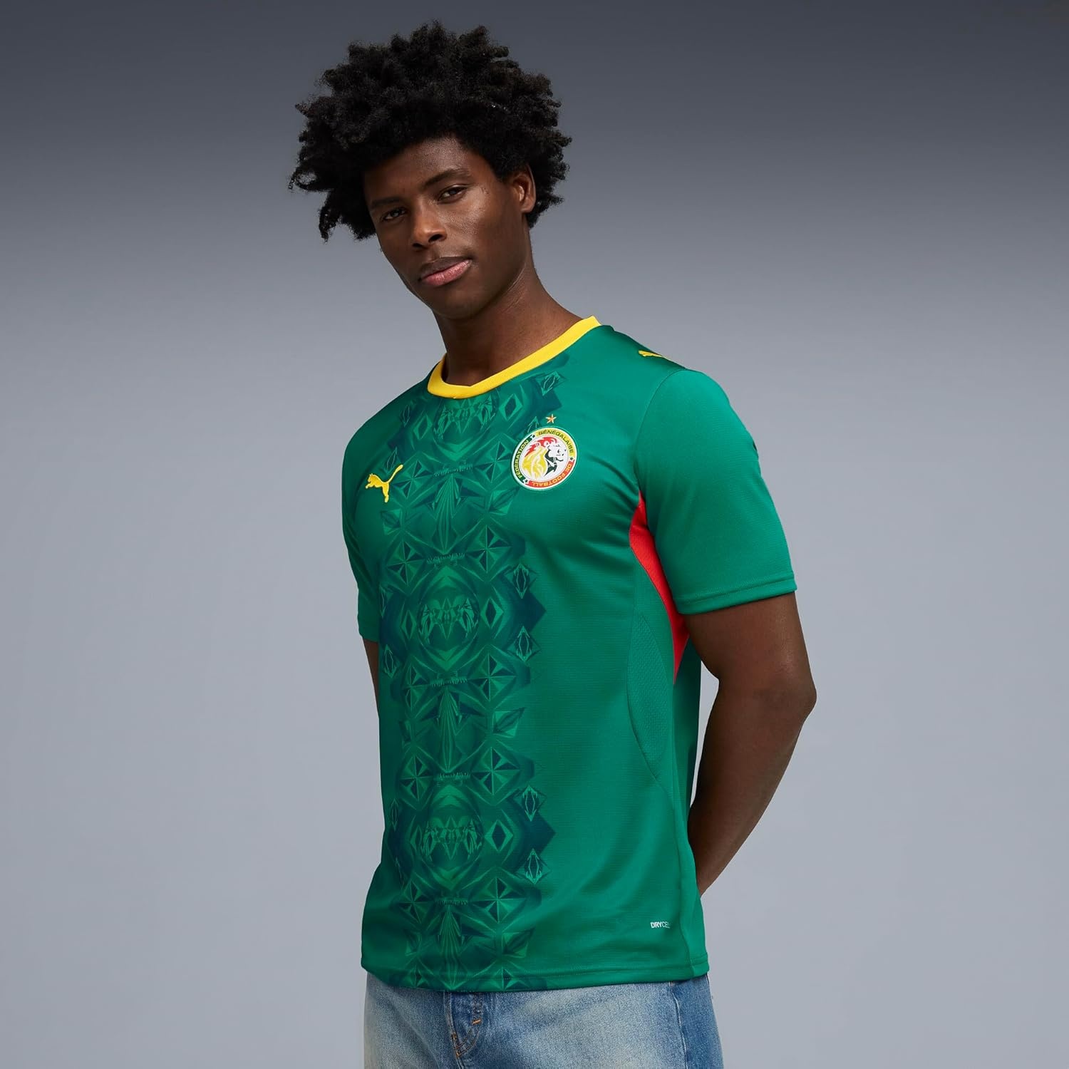 image:imagePuma Mens Senegal FA Away Jersey ReplicaWild Greenpuma Red