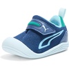 Persian Blue-aqua-wild Green Ah25