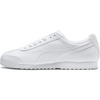 White/Light Gray