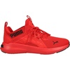 High Risk Red-black
