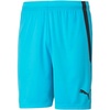 Blue Atoll/Puma Black