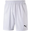 White/White