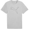 Light Gray Heather