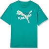 Wild Green Rotate Ah25