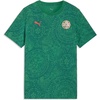 Archive Green-puma Red