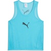 Bright Aqua-puma Black