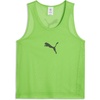 Pitch Green-puma Black