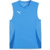 Ignite Blue-puma White-puma Team Royal