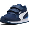 Persian Blue-white-mountain Blue Ah25
